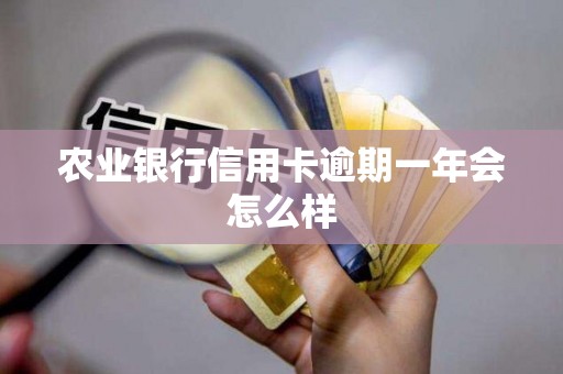 农业银行信用卡逾期一年会怎么样