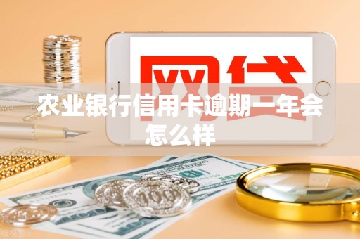 农业银行信用卡逾期一年会怎么样
