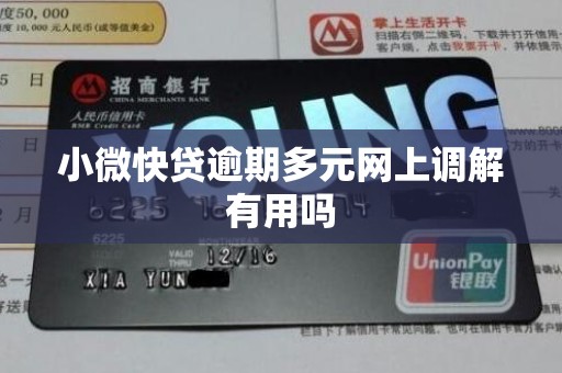 小微快贷逾期多元网上调解有用吗