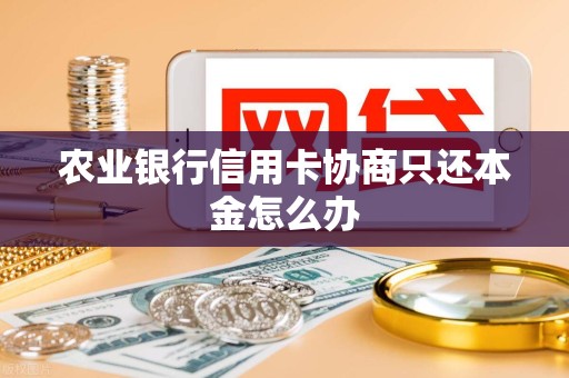 农业银行信用卡协商只还本金怎么办