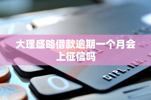 大理盛略借款逾期一个月会上征信吗