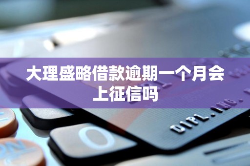 大理盛略借款逾期一个月会上征信吗