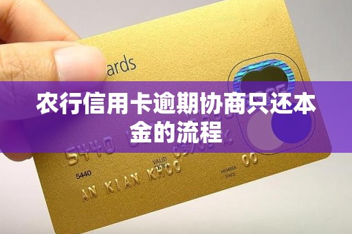 农行信用卡逾期协商只还本金的流程