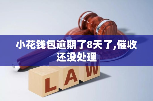 小花钱包逾期了8天了,催收还没处理 小花钱包逾期了8天了,催收还没处理