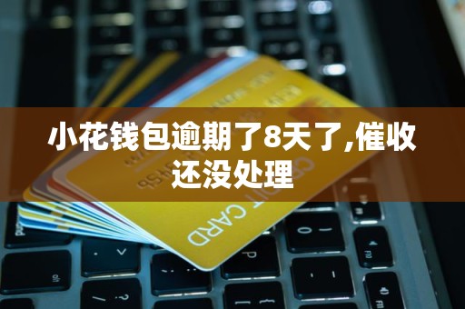 小花钱包逾期了8天了,催收还没处理 小花钱包逾期了8天了,催收还没处理