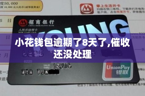 小花钱包逾期了8天了,催收还没处理 小花钱包逾期了8天了,催收还没处理