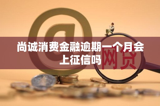 尚诚消费金融逾期一个月会上征信吗