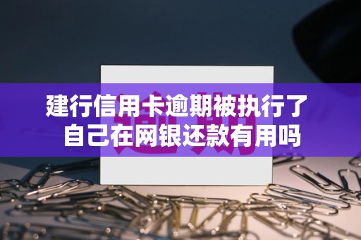 建行信用卡逾期被执行了 自己在网银还款有用吗 建行信用卡逾期被执行了 自己在网银还款有用吗