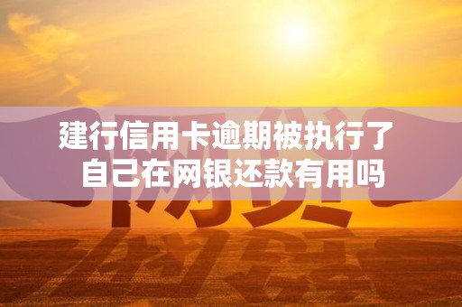 建行信用卡逾期被执行了 自己在网银还款有用吗 建行信用卡逾期被执行了 自己在网银还款有用吗