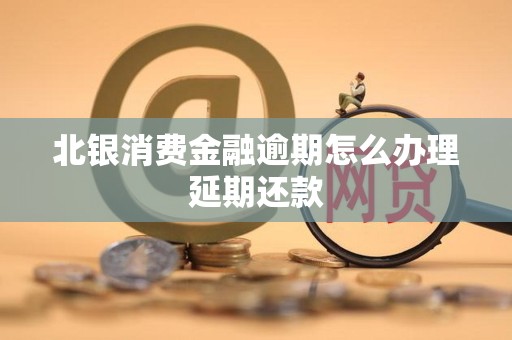 北银消费金融逾期怎么办理延期还款 北银消费金融逾期怎么办理延期还款