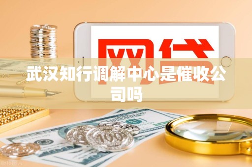 武汉知行调解中心是催收公司吗