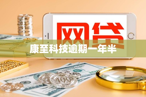 康至科技逾期一年半