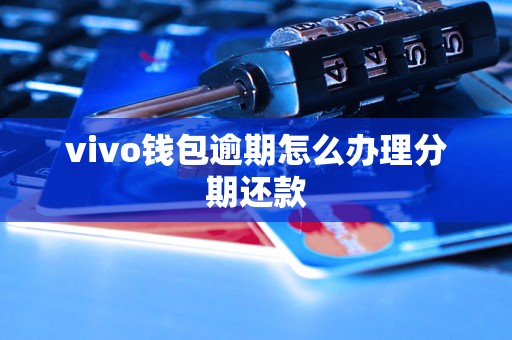 vivo钱包逾期怎么办理分期还款