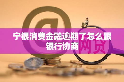 宁银消费金融逾期了怎么跟银行协商