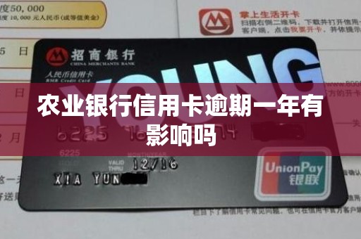 农业银行信用卡逾期一年有影响吗
