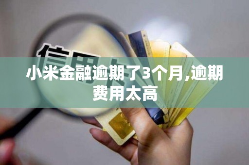 小米金融逾期了3个月,逾期费用太高 小米金融逾期了3个月,逾期费用太高