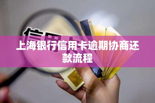 上海银行信用卡逾期协商还款流程