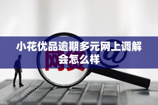 小花优品逾期多元网上调解会怎么样