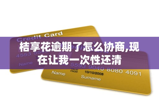 桔享花逾期了怎么协商,现在让我一次性还清