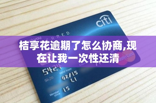 桔享花逾期了怎么协商,现在让我一次性还清