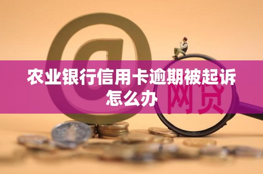 农业银行信用卡逾期被起诉怎么办 农业银行信用卡逾期被起诉怎么办