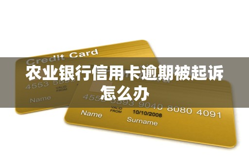 农业银行信用卡逾期被起诉怎么办 农业银行信用卡逾期被起诉怎么办