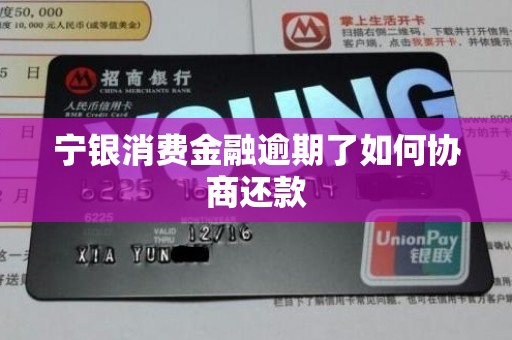 宁银消费金融逾期了如何协商还款 宁银消费金融逾期了如何协商还款