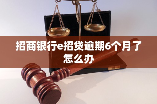 招商银行e招贷逾期6个月了怎么办