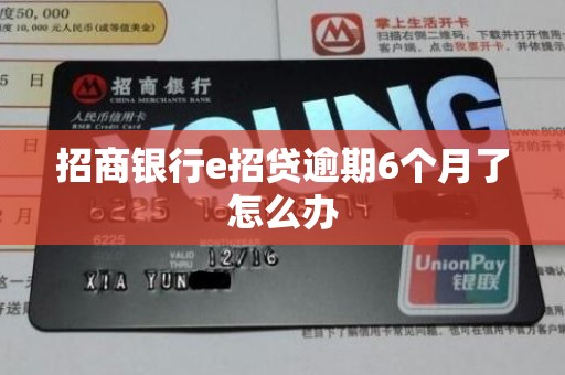 招商银行e招贷逾期6个月了怎么办