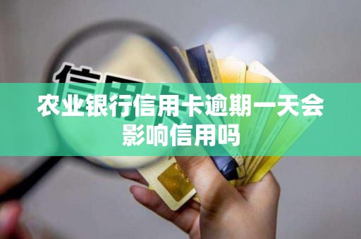 农业银行信用卡逾期一天会影响信用吗 农业银行信用卡逾期一天会影响信用吗