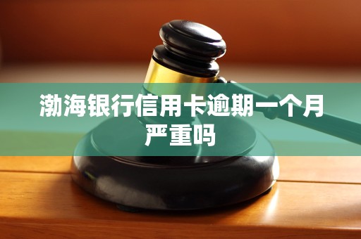渤海银行信用卡逾期一个月严重吗