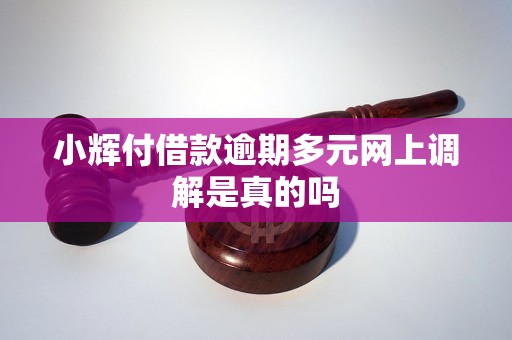 小辉付借款逾期多元网上调解是真的吗
