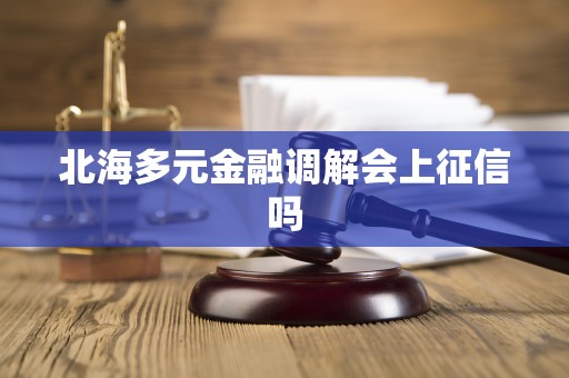 北海多元金融调解会上征信吗