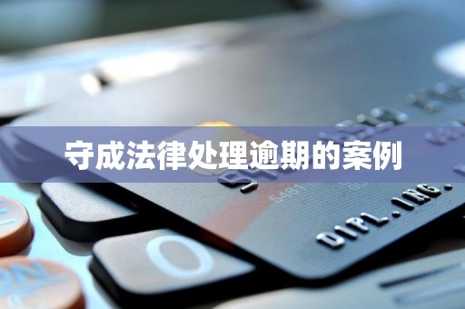 守成法律处理逾期的案例