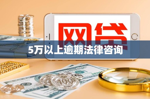 5万以上逾期法律咨询