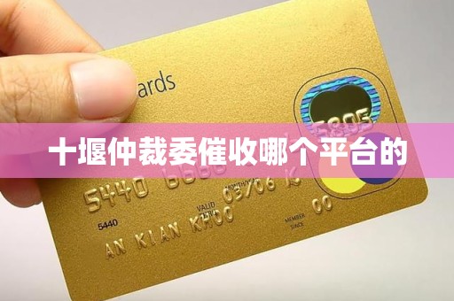 十堰仲裁委催收哪个平台的