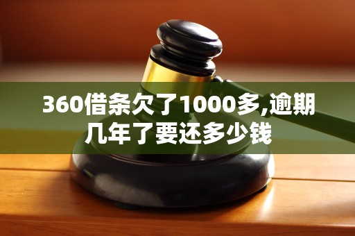 360借条欠了1000多,逾期几年了要还多少钱