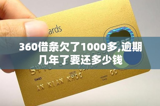 360借条欠了1000多,逾期几年了要还多少钱