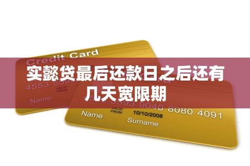 实懿贷最后还款日之后还有几天宽限期