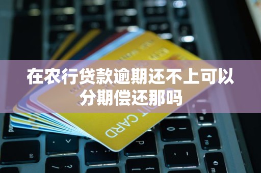 在农行贷款逾期还不上可以分期偿还那吗