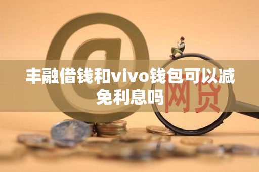 丰融借钱和vivo钱包可以减免利息吗