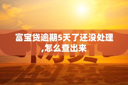 富宝贷逾期5天了还没处理,怎么查出来 富宝贷逾期5天了还没处理,怎么查出来