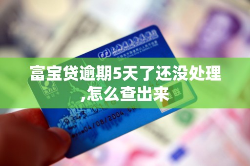 富宝贷逾期5天了还没处理,怎么查出来 富宝贷逾期5天了还没处理,怎么查出来