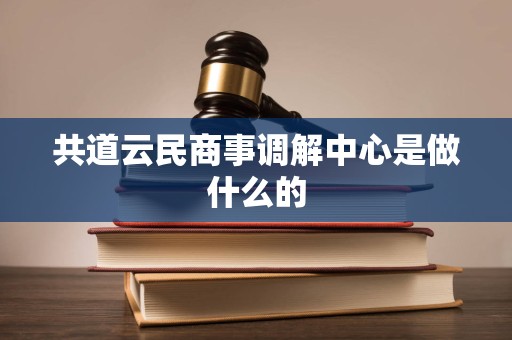 共道云民商事调解中心是做什么的