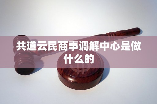 共道云民商事调解中心是做什么的