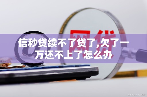 信秒贷续不了贷了,欠了一万还不上了怎么办