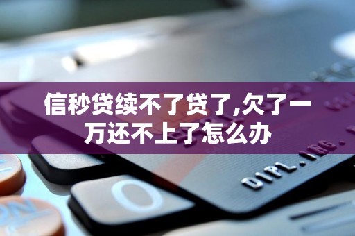 信秒贷续不了贷了,欠了一万还不上了怎么办