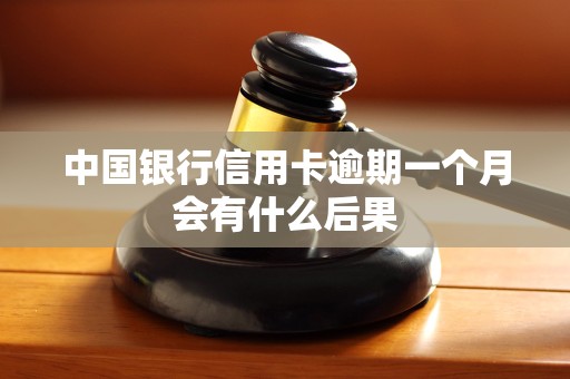 中国银行信用卡逾期一个月会有什么后果