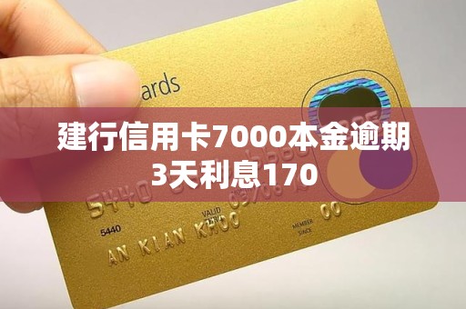 建行信用卡7000本金逾期3天利息170