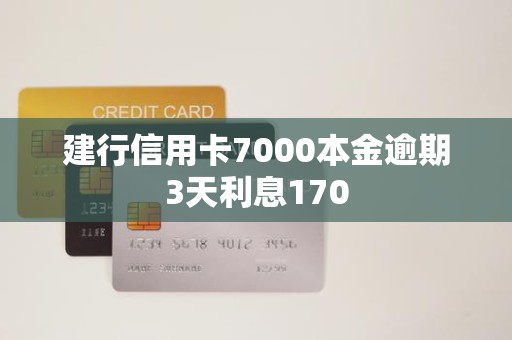 建行信用卡7000本金逾期3天利息170